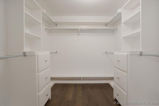 walk in closet featuring dark hardwood / wood-style floors