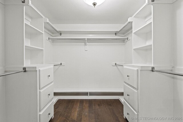 spacious closet with dark wood-style flooring