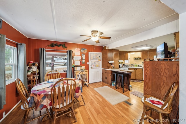 dining area featuring ceiling fan, sink, a textured ceiling, and light hardwood / wood-style flooring