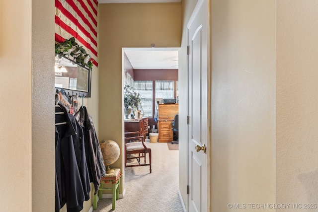 hallway featuring carpet floors