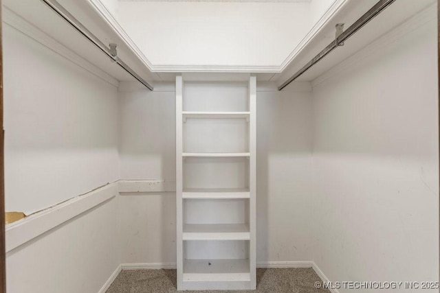 spacious closet with carpet