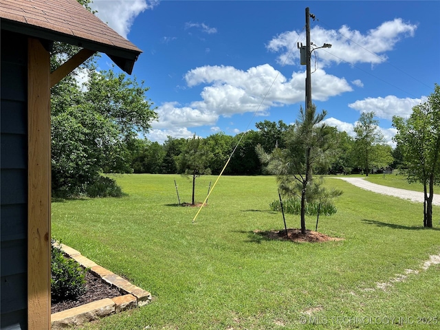 4 Canadian Dr, Burneyville, OK 73430 - view of green lawn