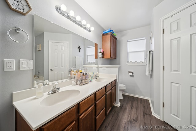 bathroom featuring vanity, hardwood / wood-style floors, toilet, and a healthy amount of sunlight