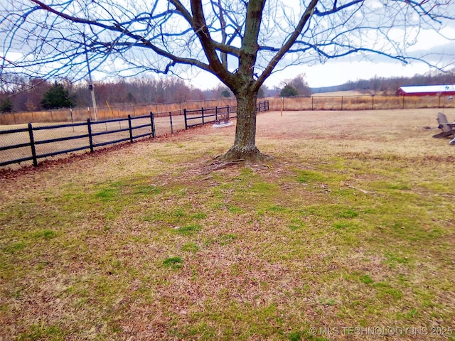 view of yard with a rural view