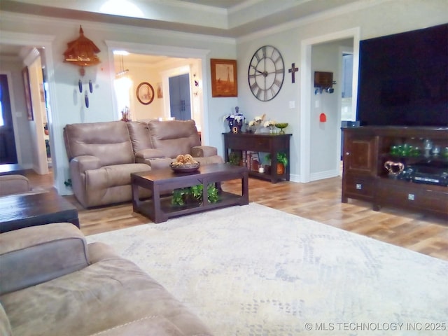 living room with crown molding and light hardwood / wood-style flooring