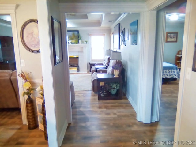 corridor featuring crown molding, a tray ceiling, and dark wood-type flooring