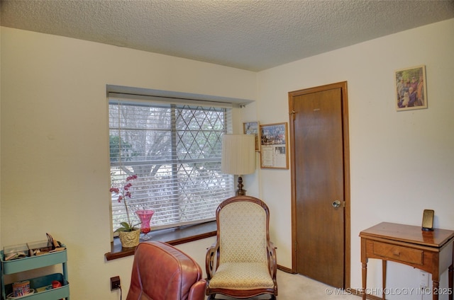 living area featuring light colored carpet and a textured ceiling