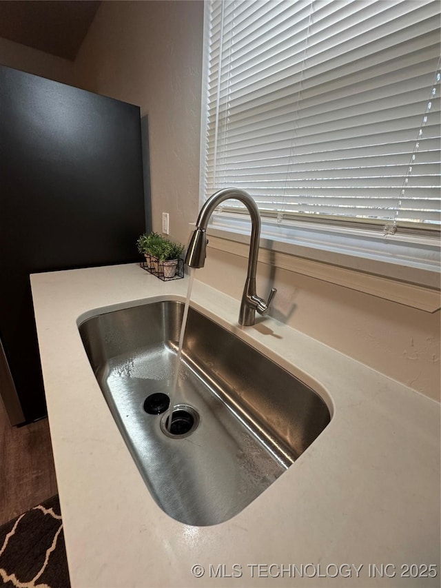 interior details featuring sink