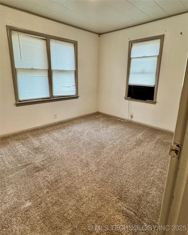 empty room featuring ornamental molding and carpet floors