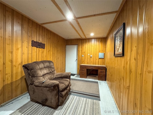 living area with wooden walls