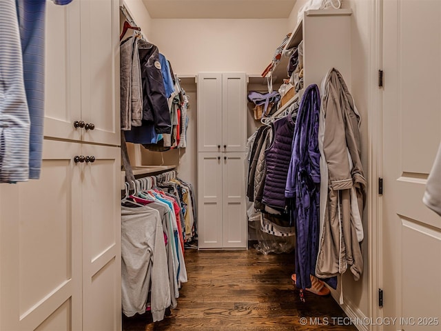 walk in closet with dark hardwood / wood-style flooring