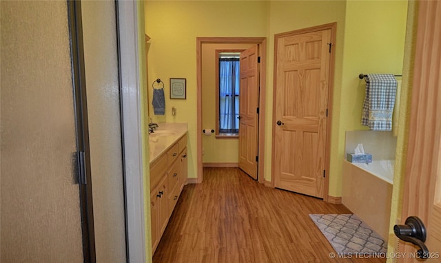 bathroom with hardwood / wood-style flooring, vanity, and a washtub