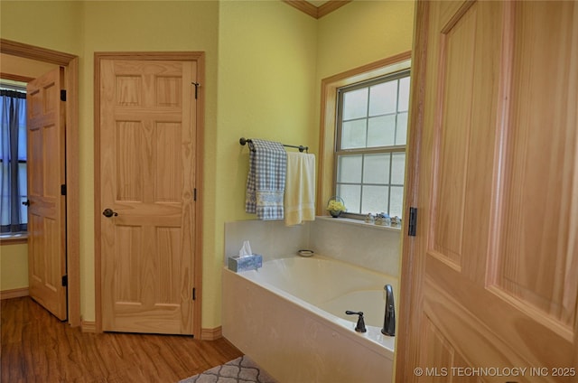 bathroom featuring a tub to relax in and wood-type flooring