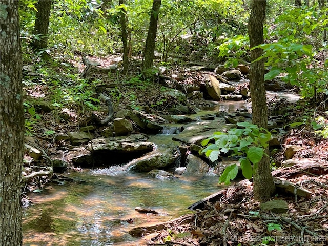 view of local wilderness