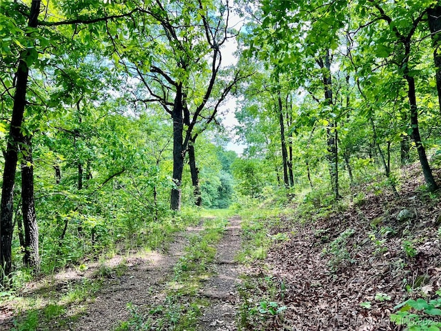 view of landscape