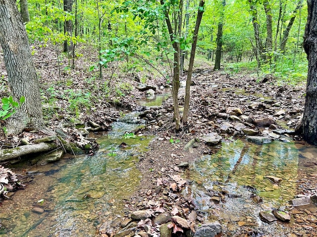 view of local wilderness