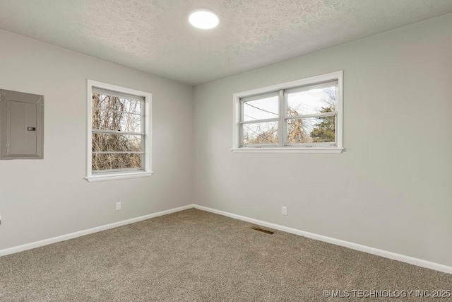 spare room with electric panel, carpet, and a textured ceiling