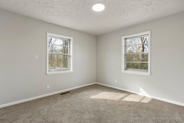 carpeted spare room featuring a wealth of natural light and a textured ceiling