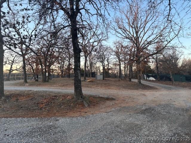 view of yard at dusk