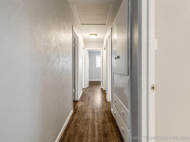 hallway featuring dark hardwood / wood-style flooring