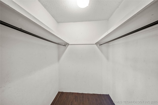 walk in closet with hardwood / wood-style floors