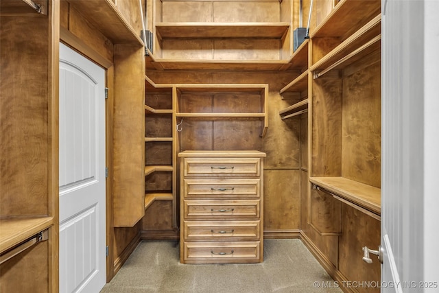 walk in closet with carpet floors