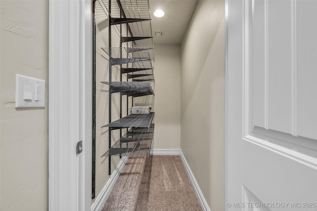 spacious closet with carpet floors