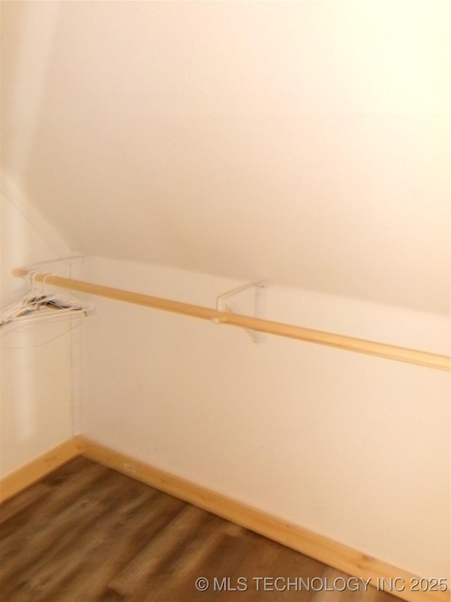 walk in closet with lofted ceiling and wood-type flooring