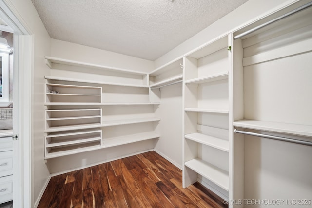 walk in closet featuring dark hardwood / wood-style floors