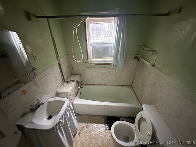 bathroom with sink and toilet