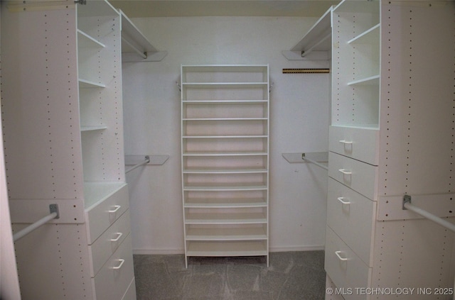 2411 E 72nd Pl Unit 2-A-3, Tulsa, OK 74136 - walk in closet with carpet flooring