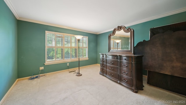 interior space featuring ornamental molding and carpet floors