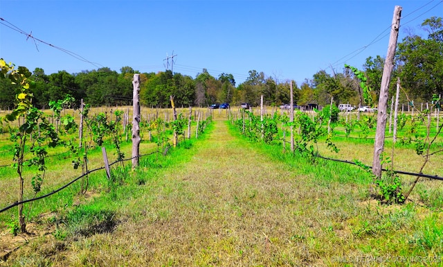 view of yard with a rural view