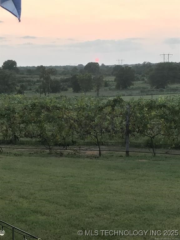 yard at dusk with a rural view