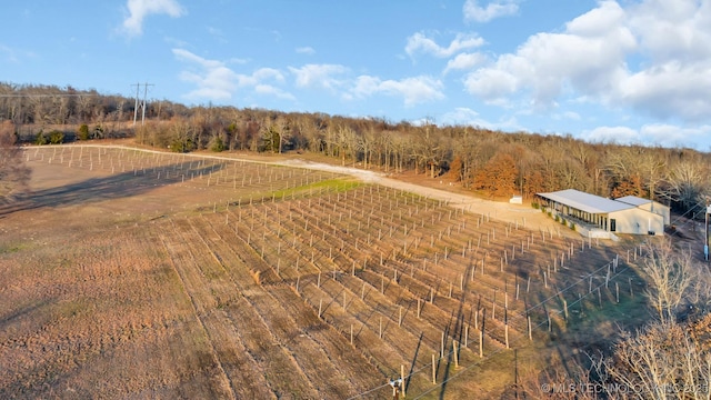 birds eye view of property with a rural view