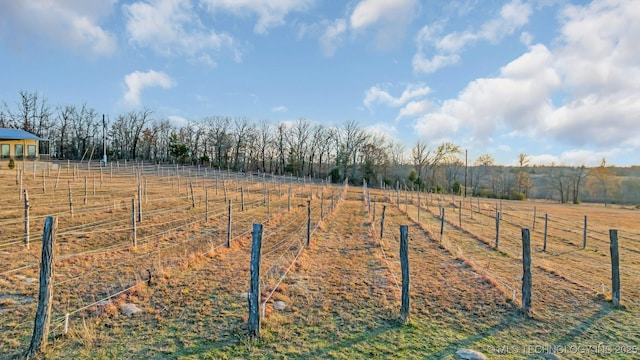 view of yard with a rural view