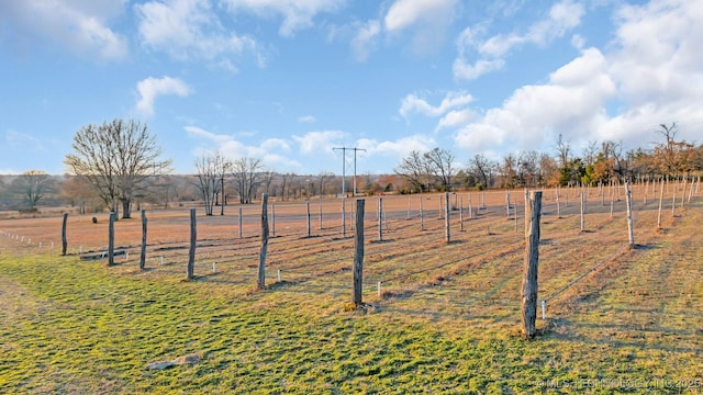 view of yard with a rural view