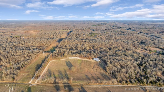 drone / aerial view featuring a rural view