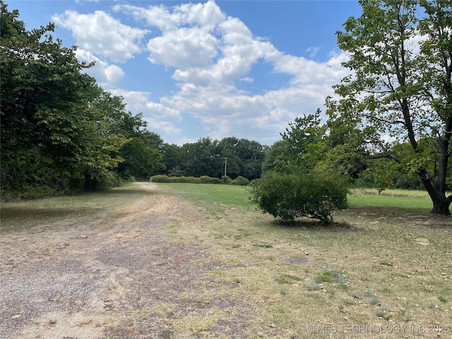 view of local wilderness