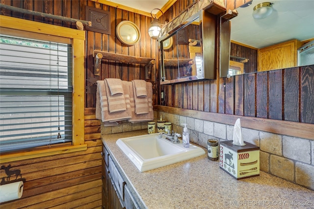 bathroom with sink and wooden walls