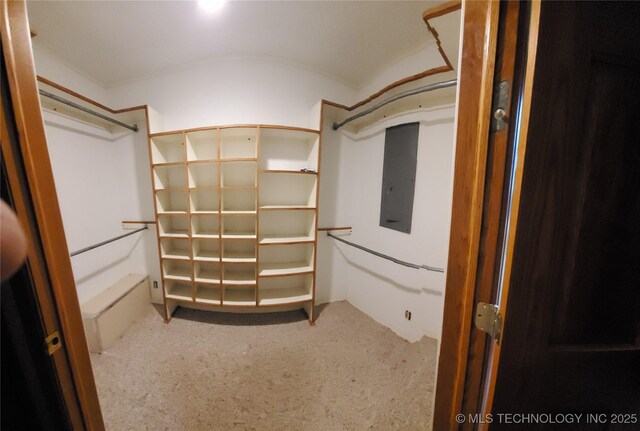 spacious closet featuring carpet flooring and electric panel