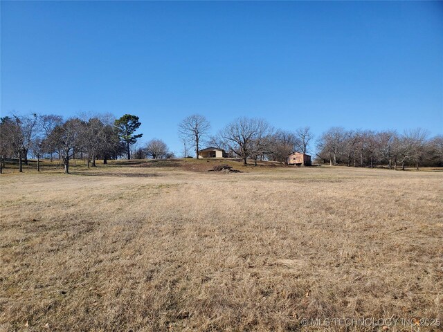 view of yard with a rural view