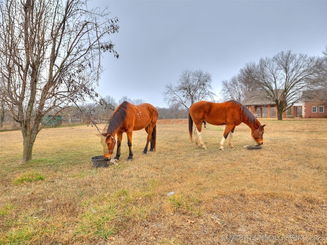 32386 E 171st St S, Coweta, OK 74429 - photo 63