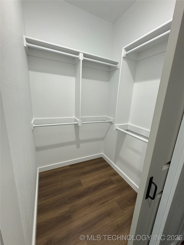 walk in closet with dark wood-type flooring