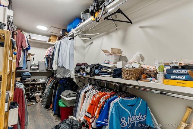 spacious closet featuring hardwood / wood-style flooring