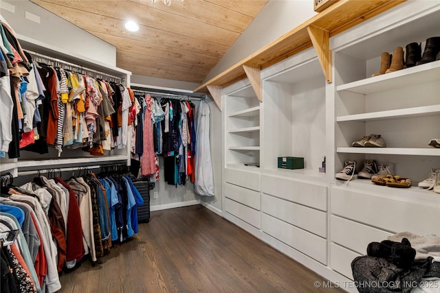 spacious closet with dark hardwood / wood-style flooring and lofted ceiling