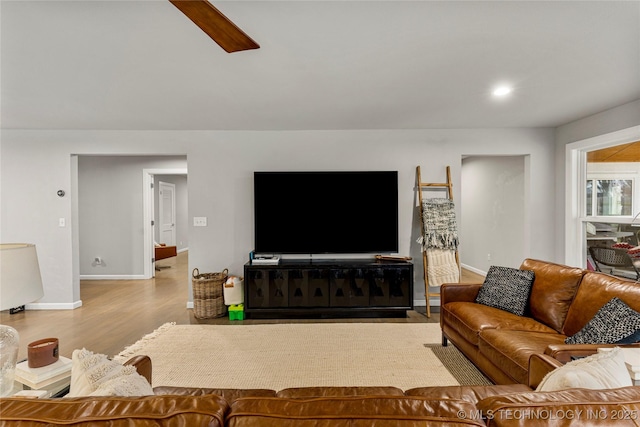 living room featuring light hardwood / wood-style flooring