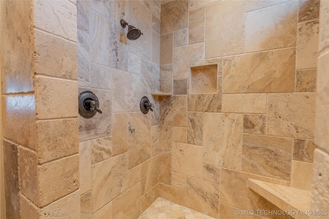 interior details featuring tiled shower