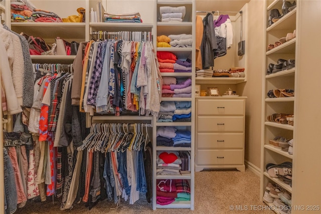 spacious closet with carpet floors