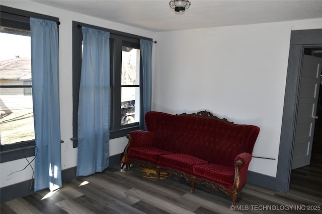 living area with dark wood-type flooring